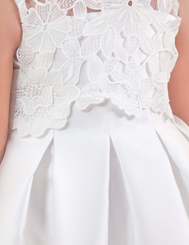 Close up of the Back of the Dress